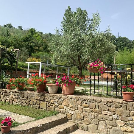 Guest House Torre Guelfa, Vinsantaia Figline Valdarno Buitenkant foto